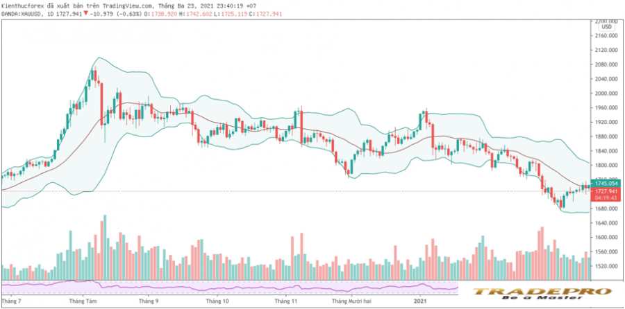 Bollinger Bands là gì? Cách sử dụng Bollinger Bands hiệu quả nhất