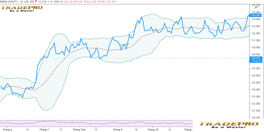 Bollinger Bands là gì? Cách sử dụng Bollinger Bands hiệu quả nhất