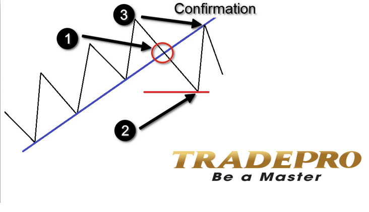 Trendline là gì? Hướng dẫn cách vẽ Trendline (đường xu hướng) chính xác nhất