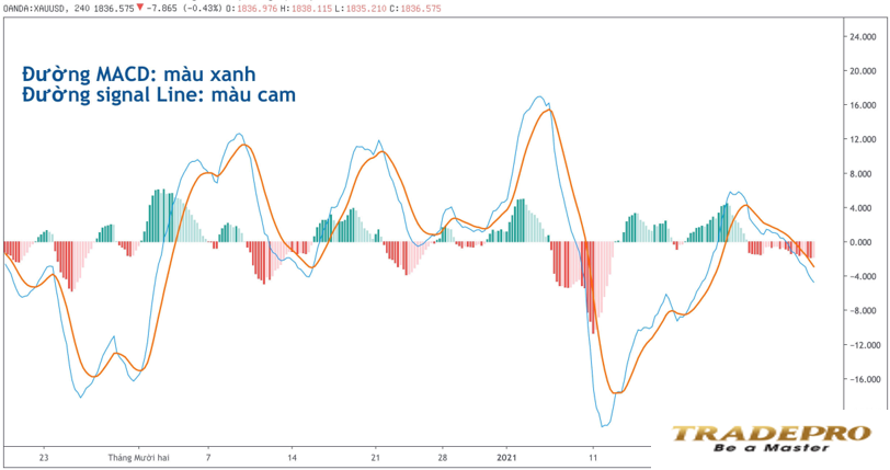 MACD là gì? Cách sử dụng chỉ báo MACD hiệu quả nhất
