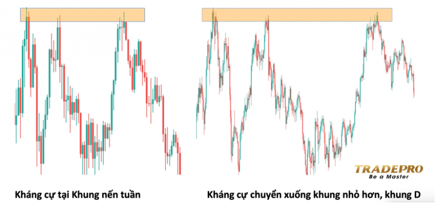 Hỗ trợ và kháng cự là gì? Cách xác định ngưỡng hỗ trợ và kháng cự hiệu quả nhất