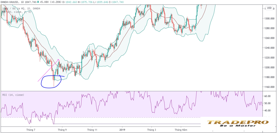 Bollinger Bands là gì? Cách sử dụng Bollinger Bands hiệu quả nhất