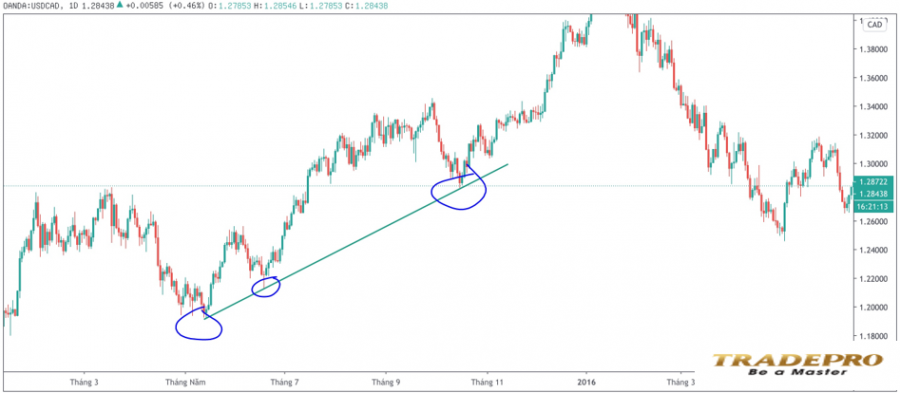 Trendline là gì? Hướng dẫn cách vẽ Trendline (đường xu hướng) chính xác nhất
