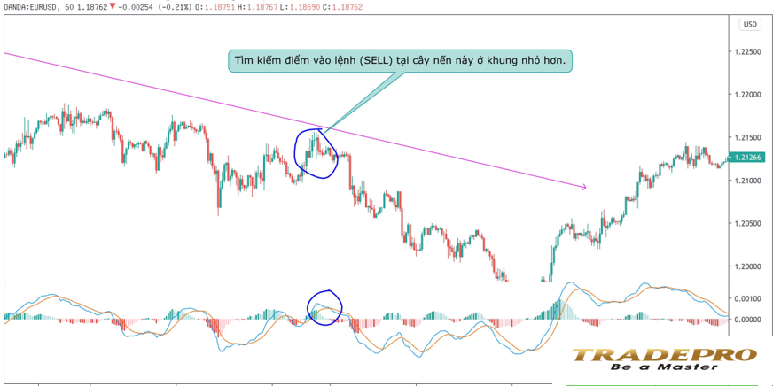 MACD là gì? Cách sử dụng chỉ báo MACD hiệu quả nhất