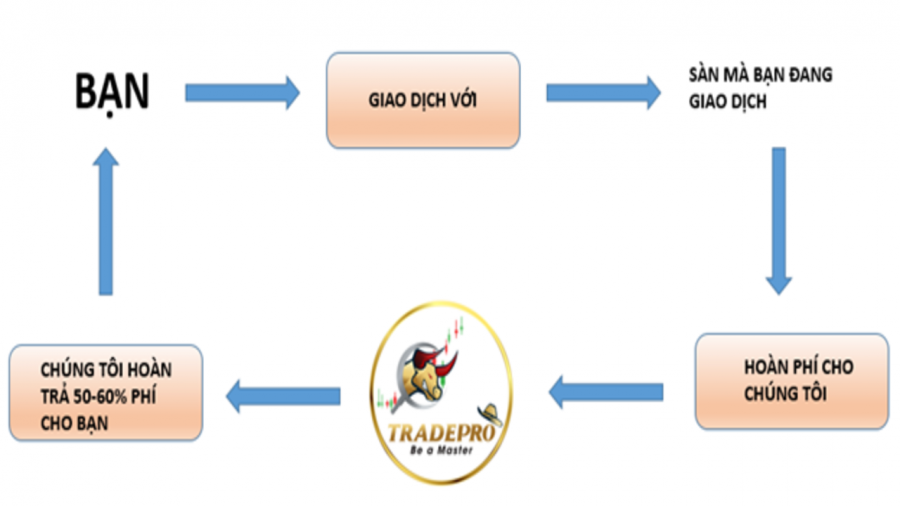 GIỚI THIỆU TRADEPRO