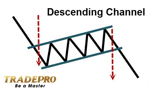 7 mô hình hành động giá tốt nhất được xếp hạng theo độ tin cậy