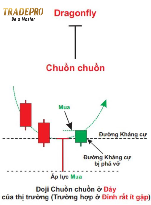 12 Loại nến Nhật cơ bản