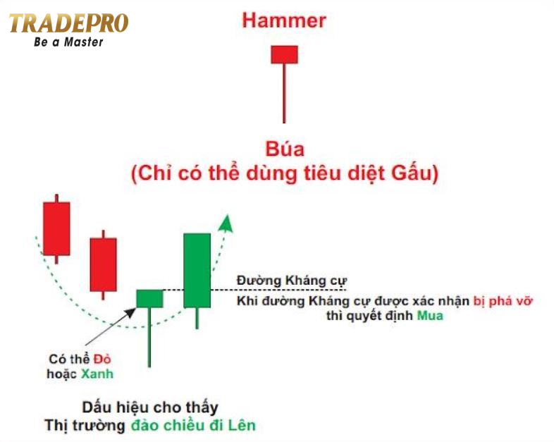 12 Loại nến Nhật cơ bản