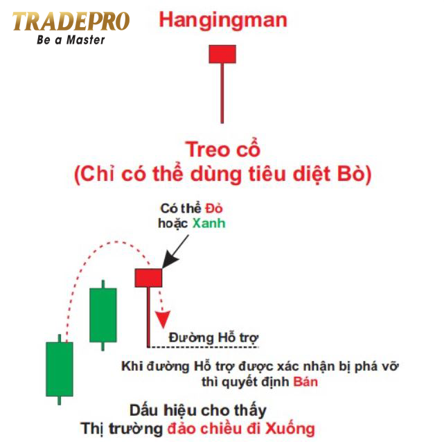 12 Loại nến Nhật cơ bản