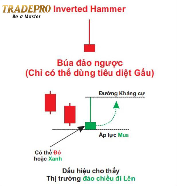 Nến búa ngược Inverted Hammer Đặc điểm và cách giao dịch