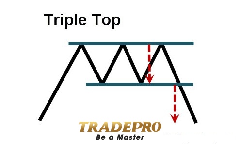 7 mô hình hành động giá tốt nhất được xếp hạng theo độ tin cậy