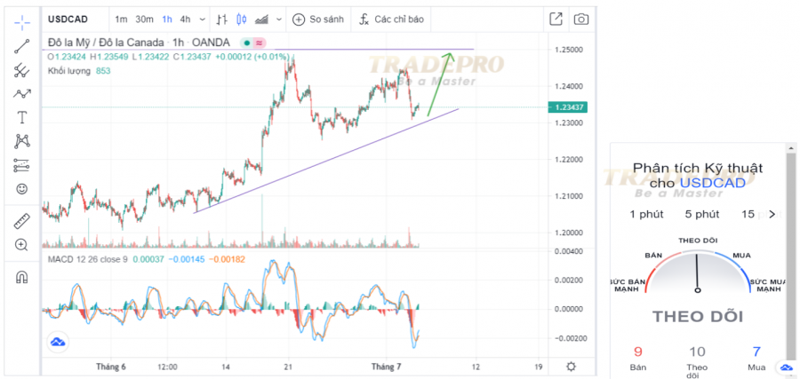 USD / CAD: Mốc 1,25 được đặt ra để giới hạn về kì vọng tăng trưởng