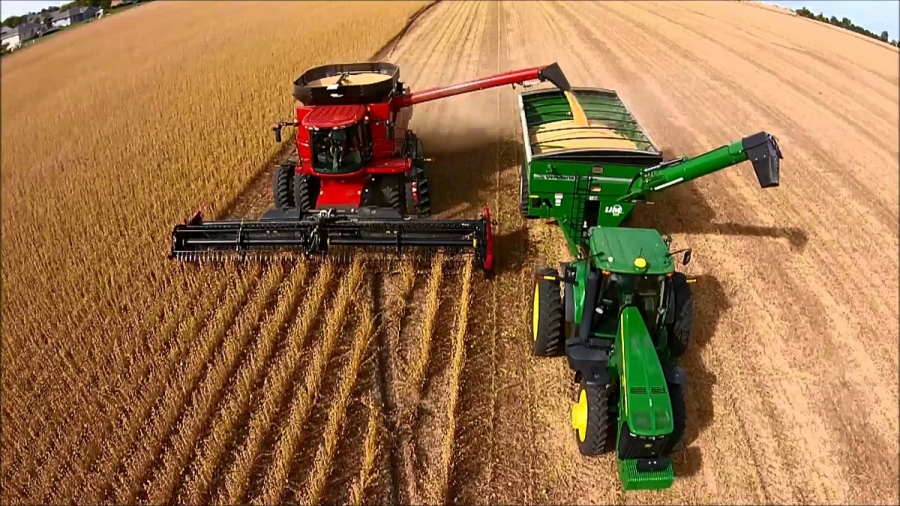 Giá thực phẩm vẫn còn tăng? Đợt nắng nóng và hạn hán kéo dài, mùa màng ở Mỹ khô héo