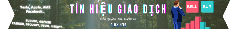 Tham gia forex ở Việt Nam có hợp pháp không?