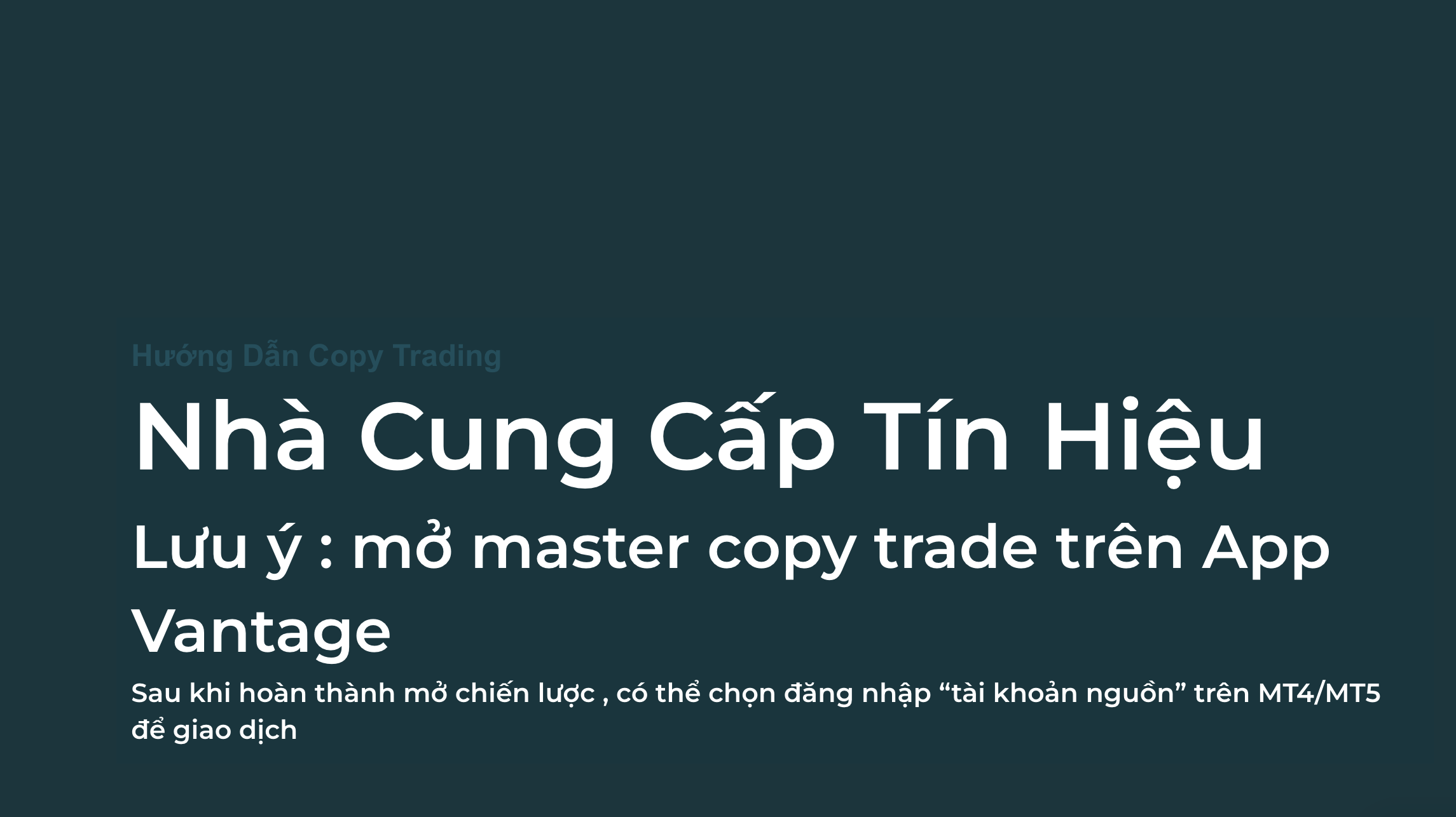 Hướng dẫn COPY TRADING 