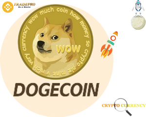 Coin Doge