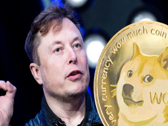 Giao dịch Dogecoin tăng 148% sau khi Tesla chấp nhận thanh toán DOGE
